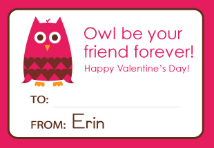 owl.mini.card